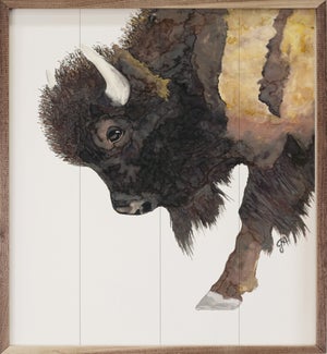 Buffalo Bill By Jodi Hatfield